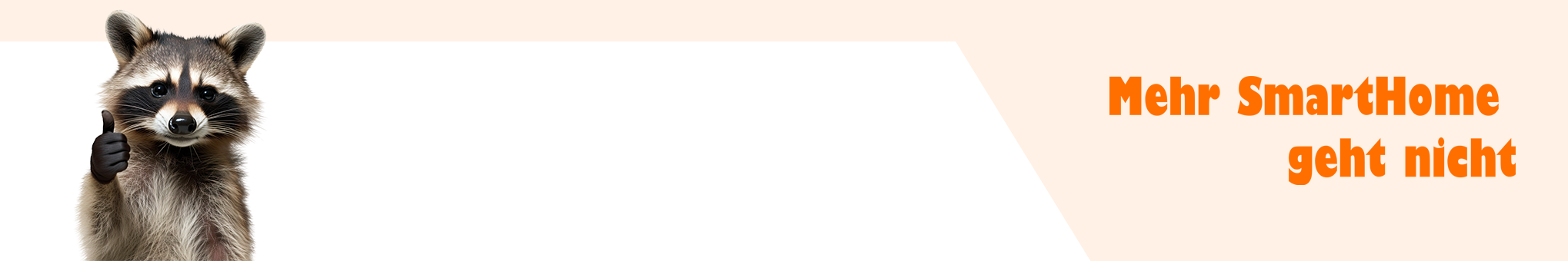 Homematicer Kategorie Bild